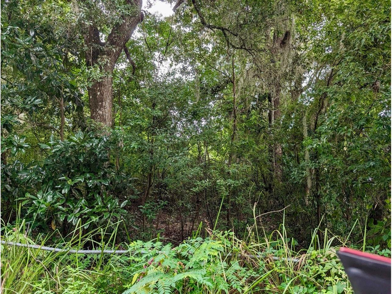 25130 NE 132nd Lane Salt Springs FL 32134 - LITTLE LAKE KERR OM725251 image15