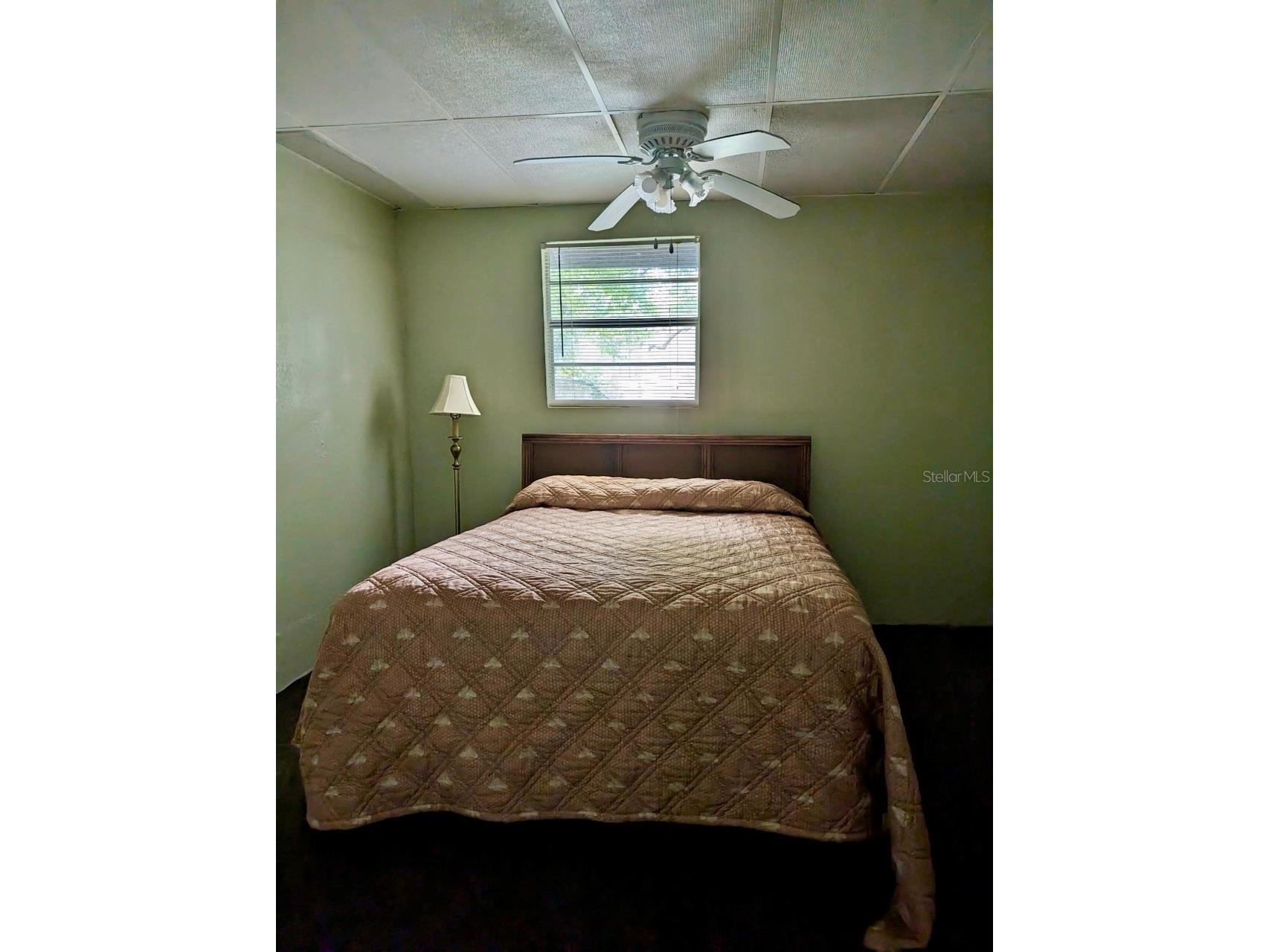 25130 NE 132nd Lane Salt Springs FL 32134 - LITTLE LAKE KERR OM725251 image7
