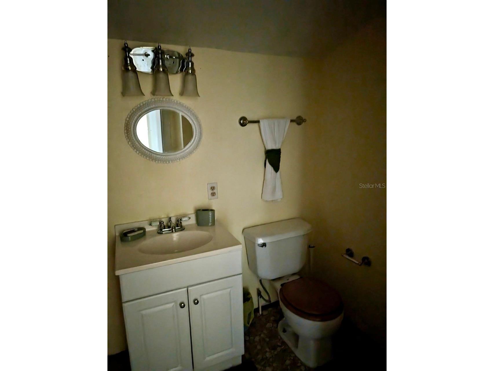 25130 NE 132nd Lane Salt Springs FL 32134 - LITTLE LAKE KERR OM725251 image8