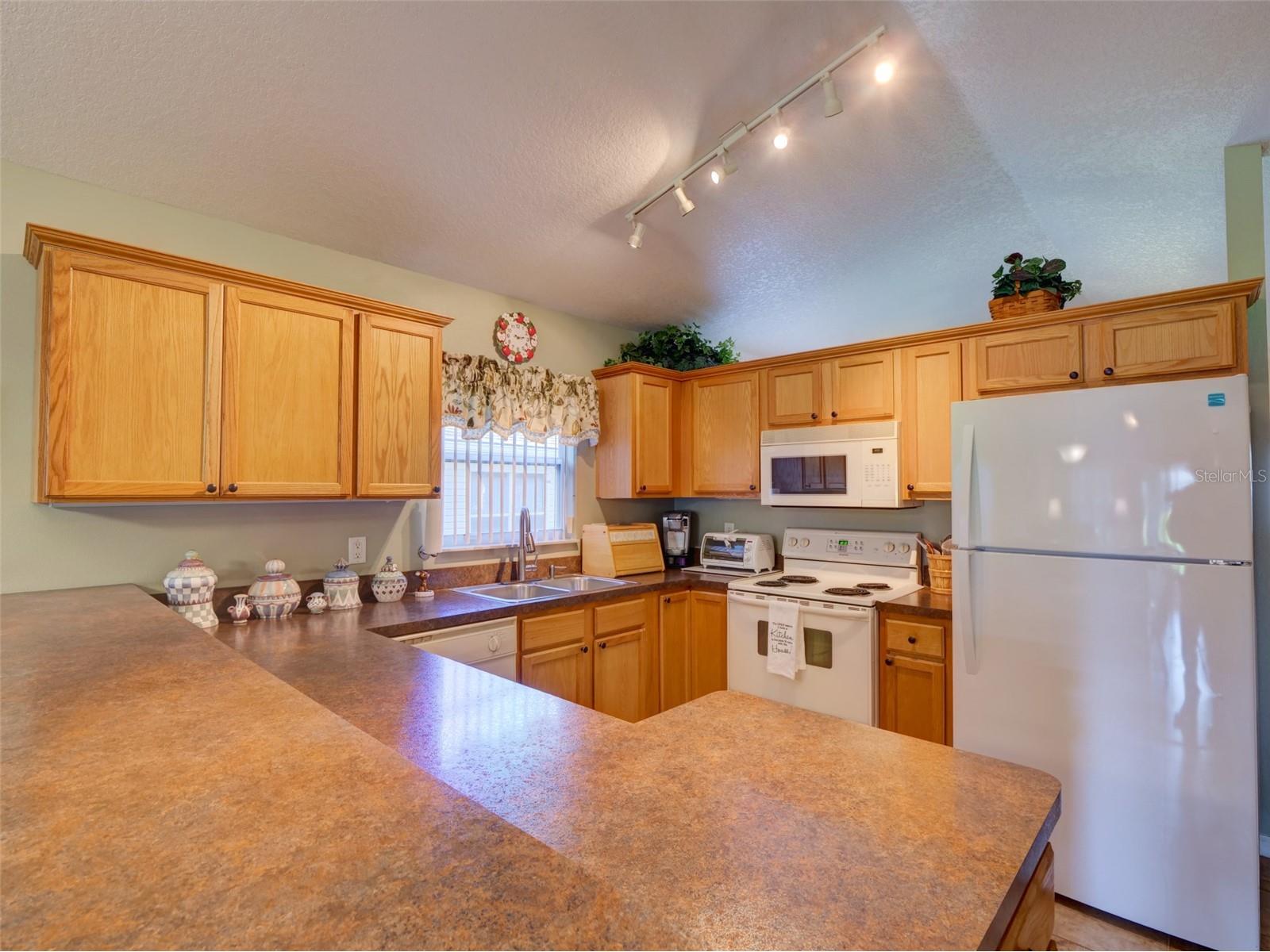 25134 Cranes Roost Circle Leesburg FL 34748 G5109439 image12