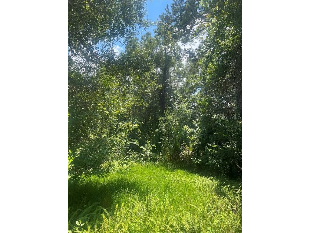 25138 Rattler Lane Brooksville FL 34601 U8209667 image1