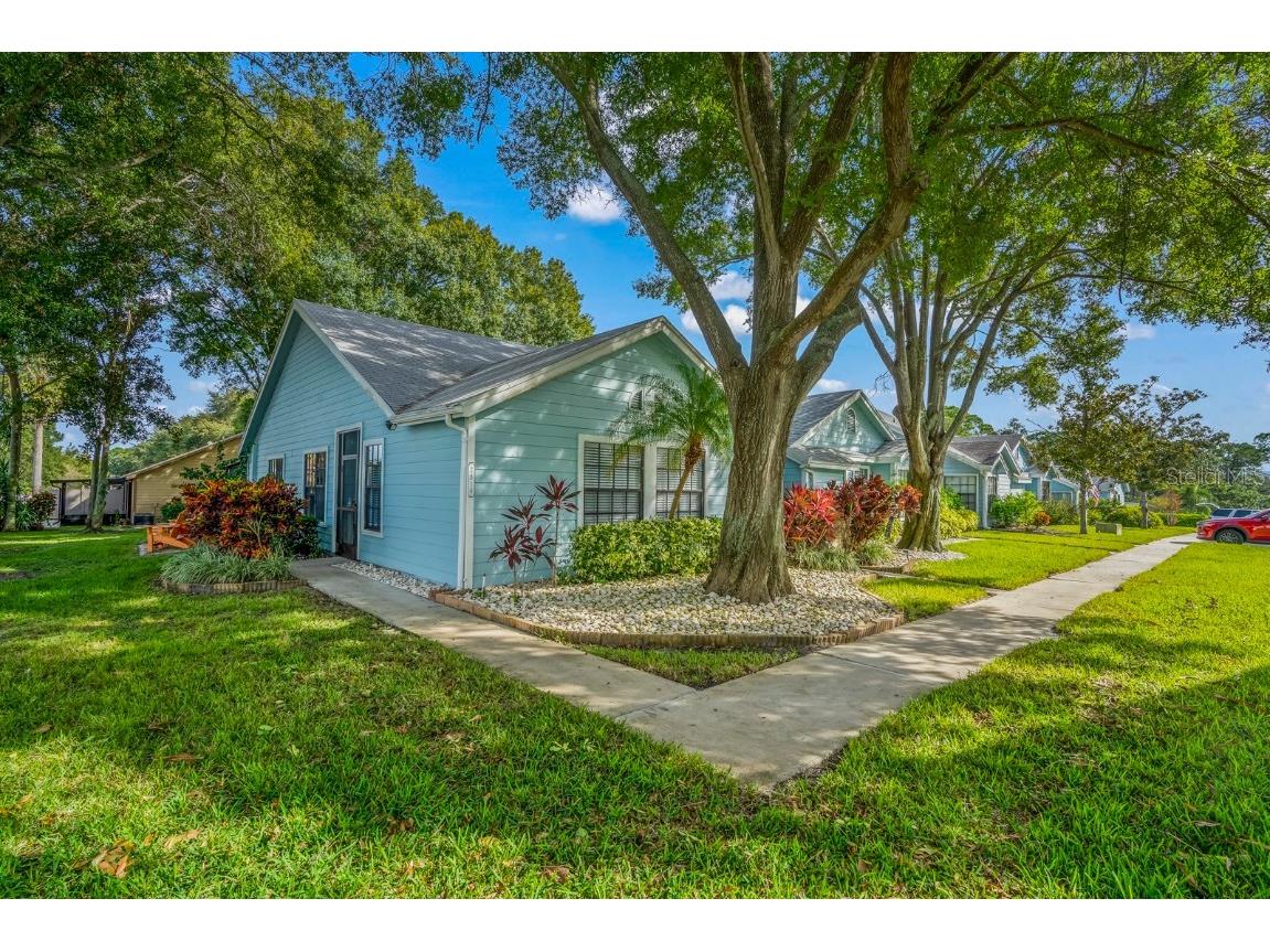 2514 Bentley Drive Palm Harbor FL 34684 U8218379 image1