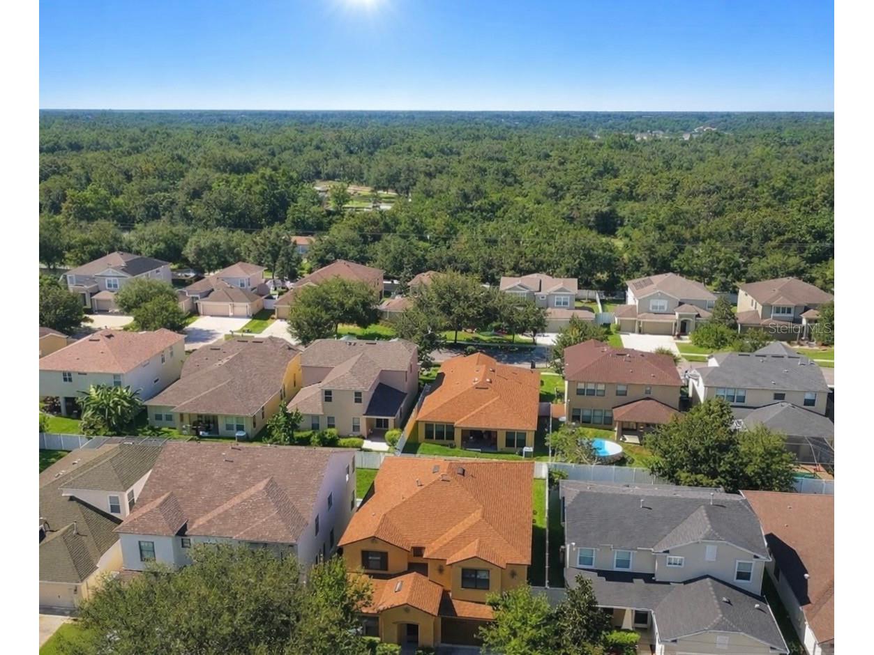 2514 Cross More Street Valrico FL 33594 W7884983 image2