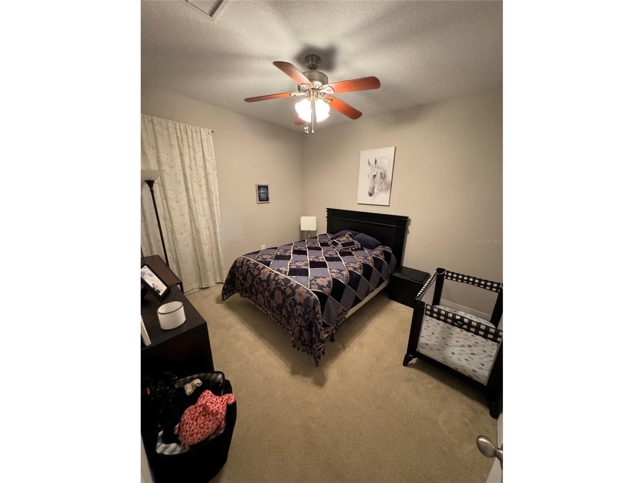 2514 Cross More Street Valrico FL 33594 W7884983 image22