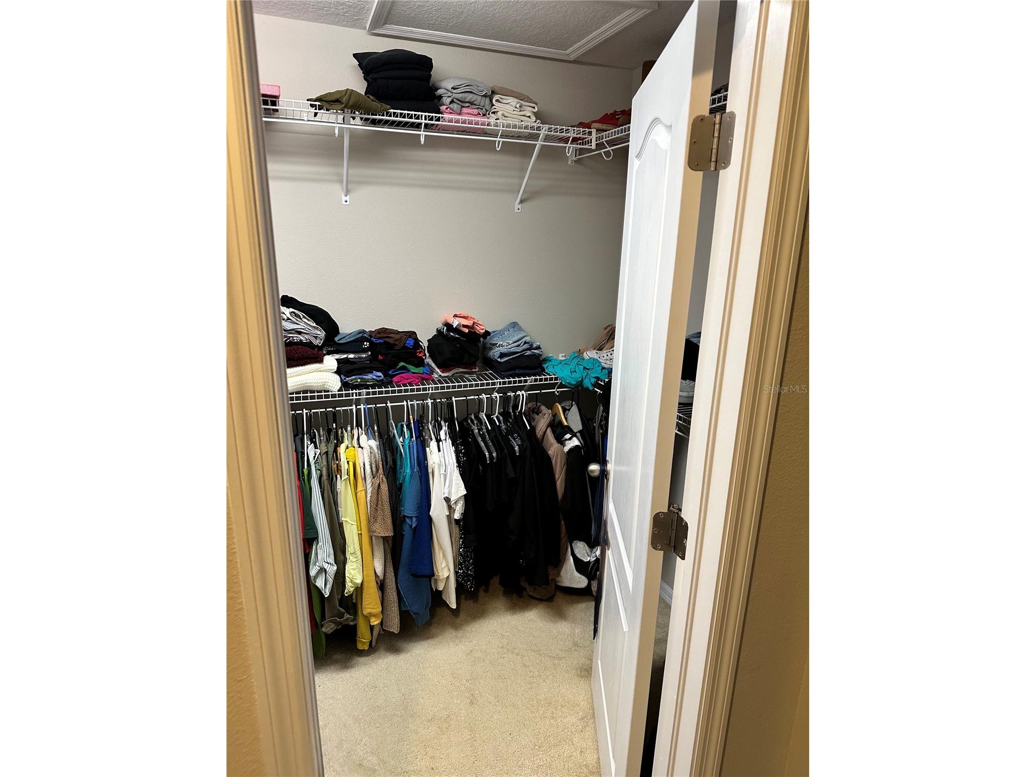 2514 Cross More Street Valrico FL 33594 W7884983 image30