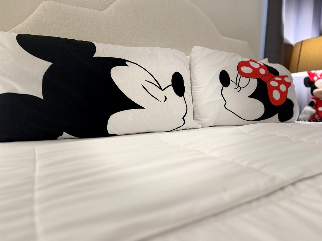 2514 Dharma Circle Kissimmee FL 34746 S5127601 image12