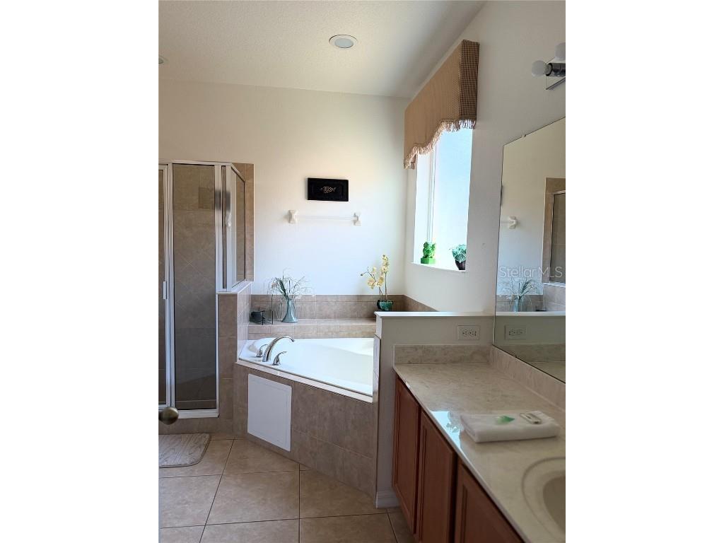 2514 Dharma Circle Kissimmee FL 34746 S5127601 image7