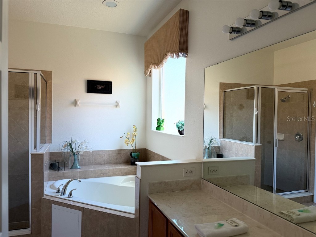 2514 Dharma Circle Kissimmee FL 34746 S5127601 image8