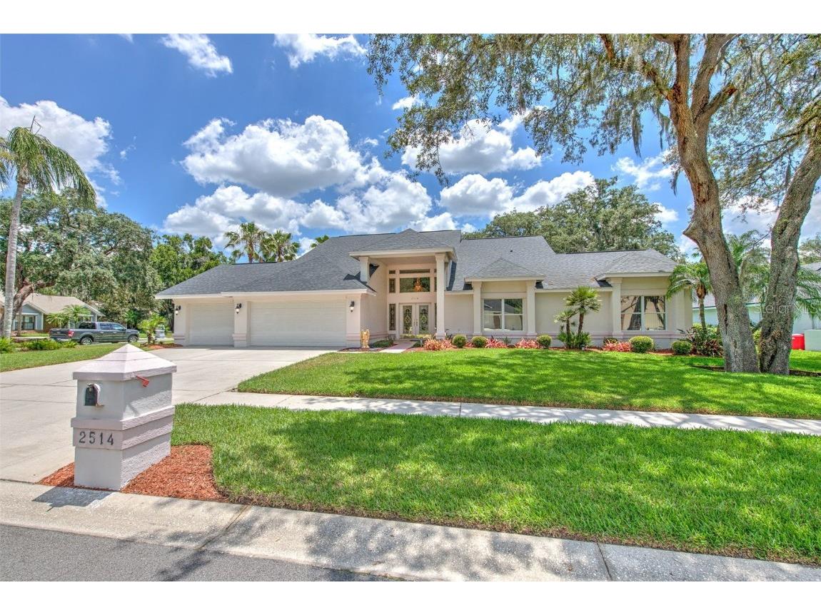 2514 Mason Oaks Drive Valrico FL 33596 T3527950 image1
