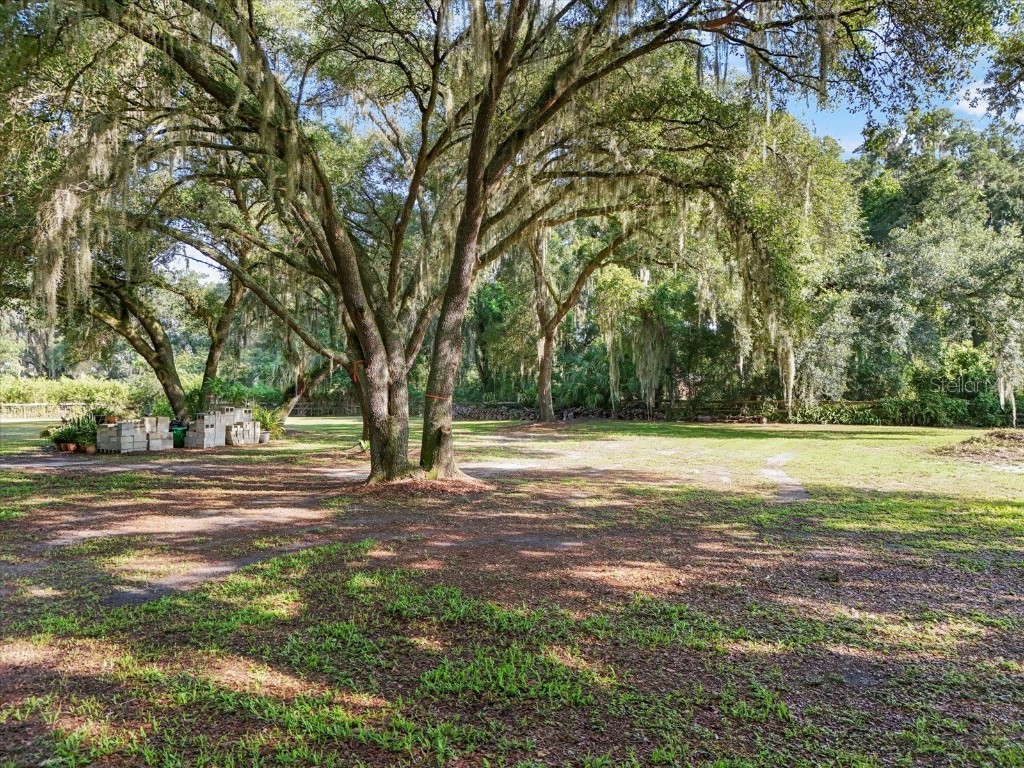 2514 Pemberton Creek Drive Seffner FL 33584 T3540206 image10