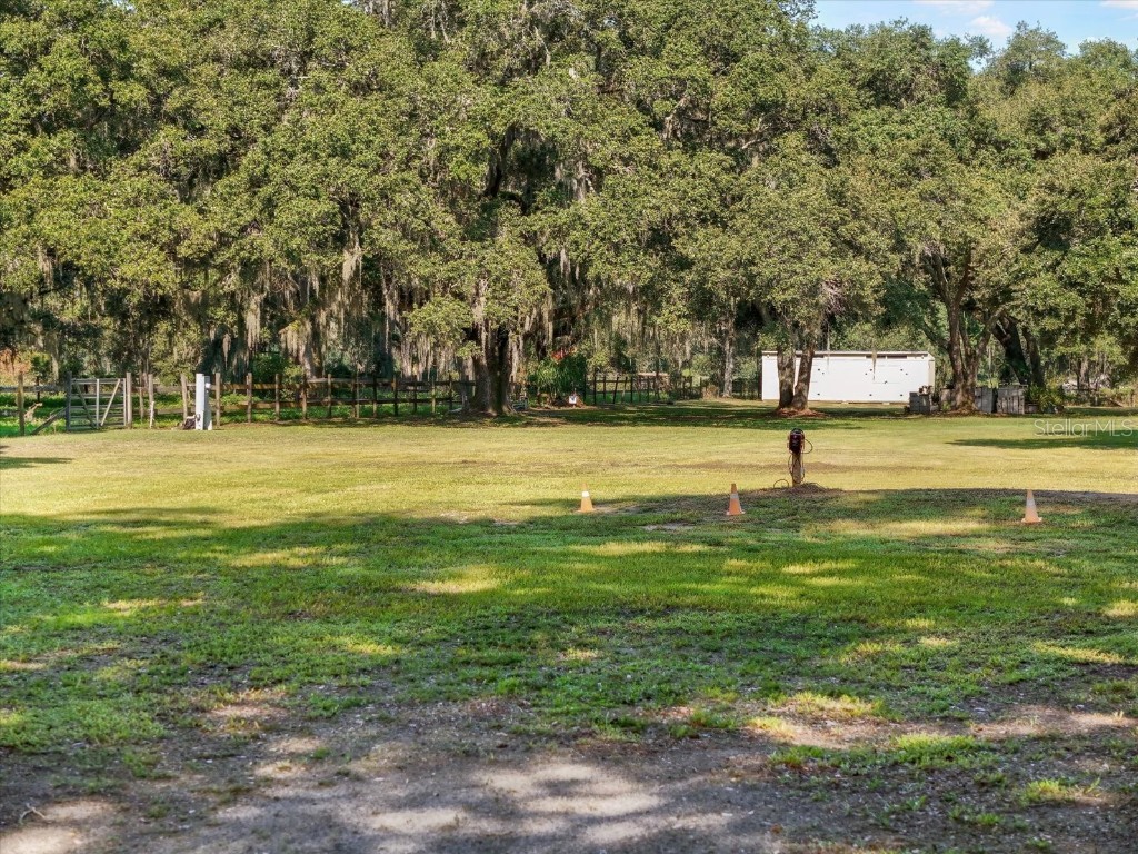2514 Pemberton Creek Drive Seffner FL 33584 T3540206 image13