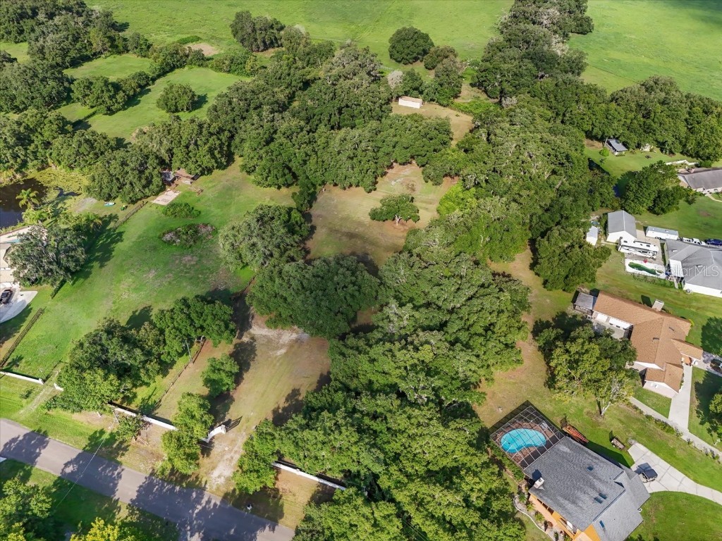 2514 Pemberton Creek Drive Seffner FL 33584 T3540206 image15