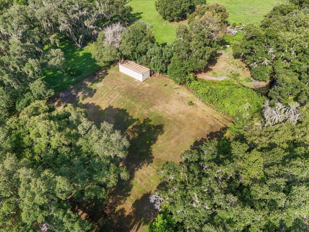 2514 Pemberton Creek Drive Seffner FL 33584 T3540206 image17
