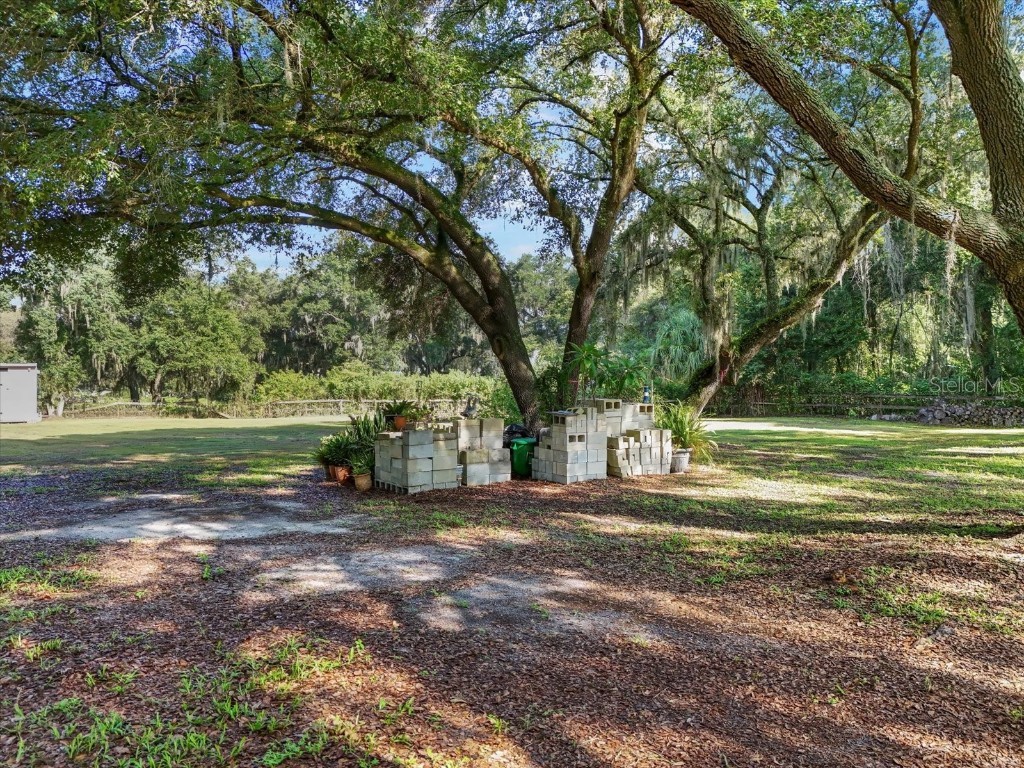 2514 Pemberton Creek Drive Seffner FL 33584 T3540206 image21