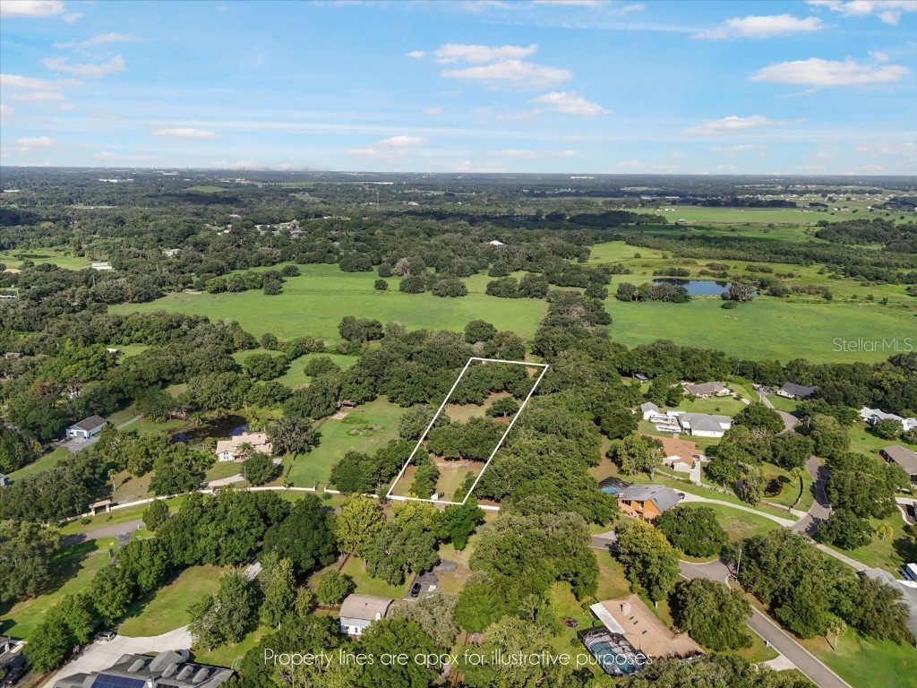 2514 Pemberton Creek Drive Seffner FL 33584 T3540206 image4