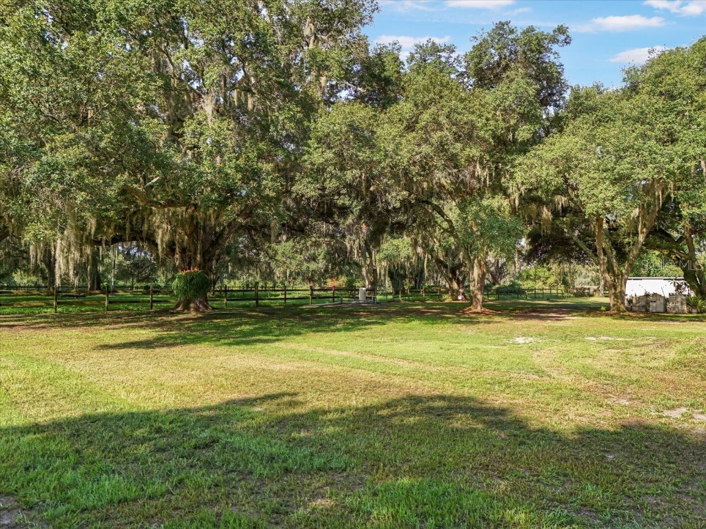 2514 Pemberton Creek Drive Seffner FL 33584 T3540206 image5