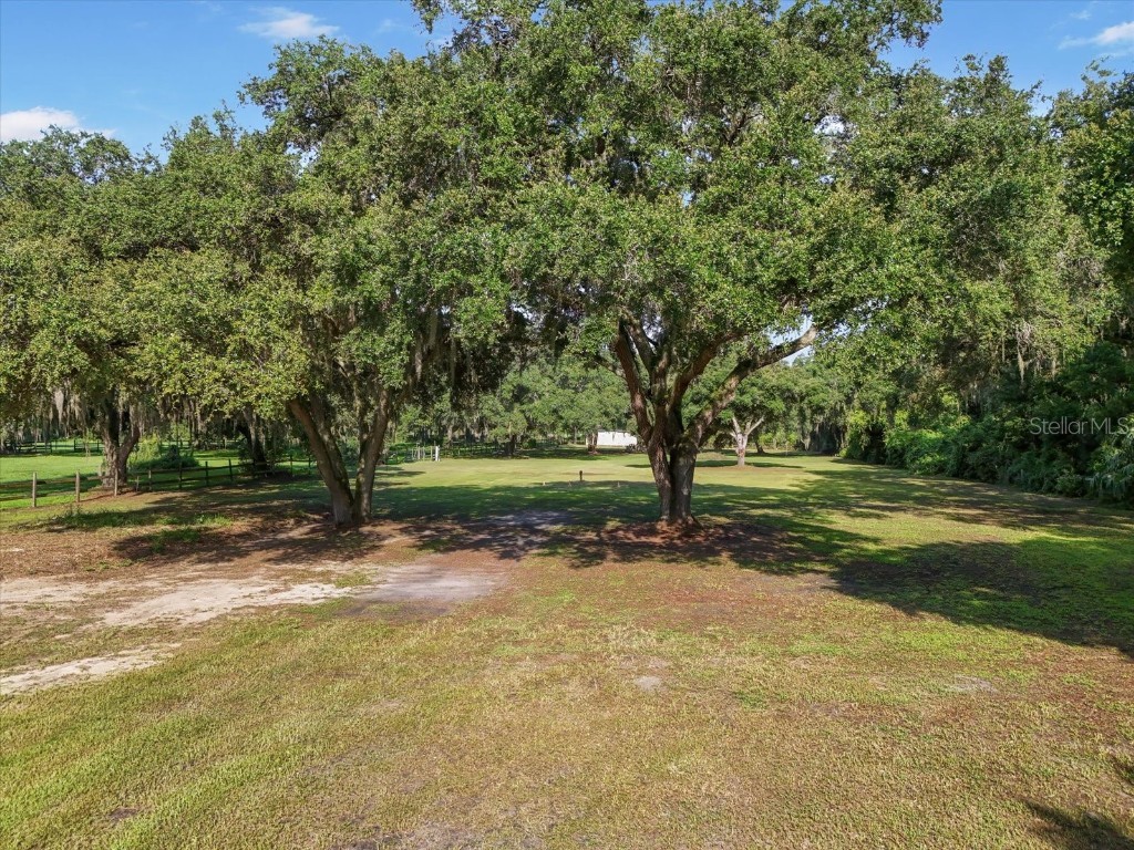 2514 Pemberton Creek Drive Seffner FL 33584 T3540206 image6