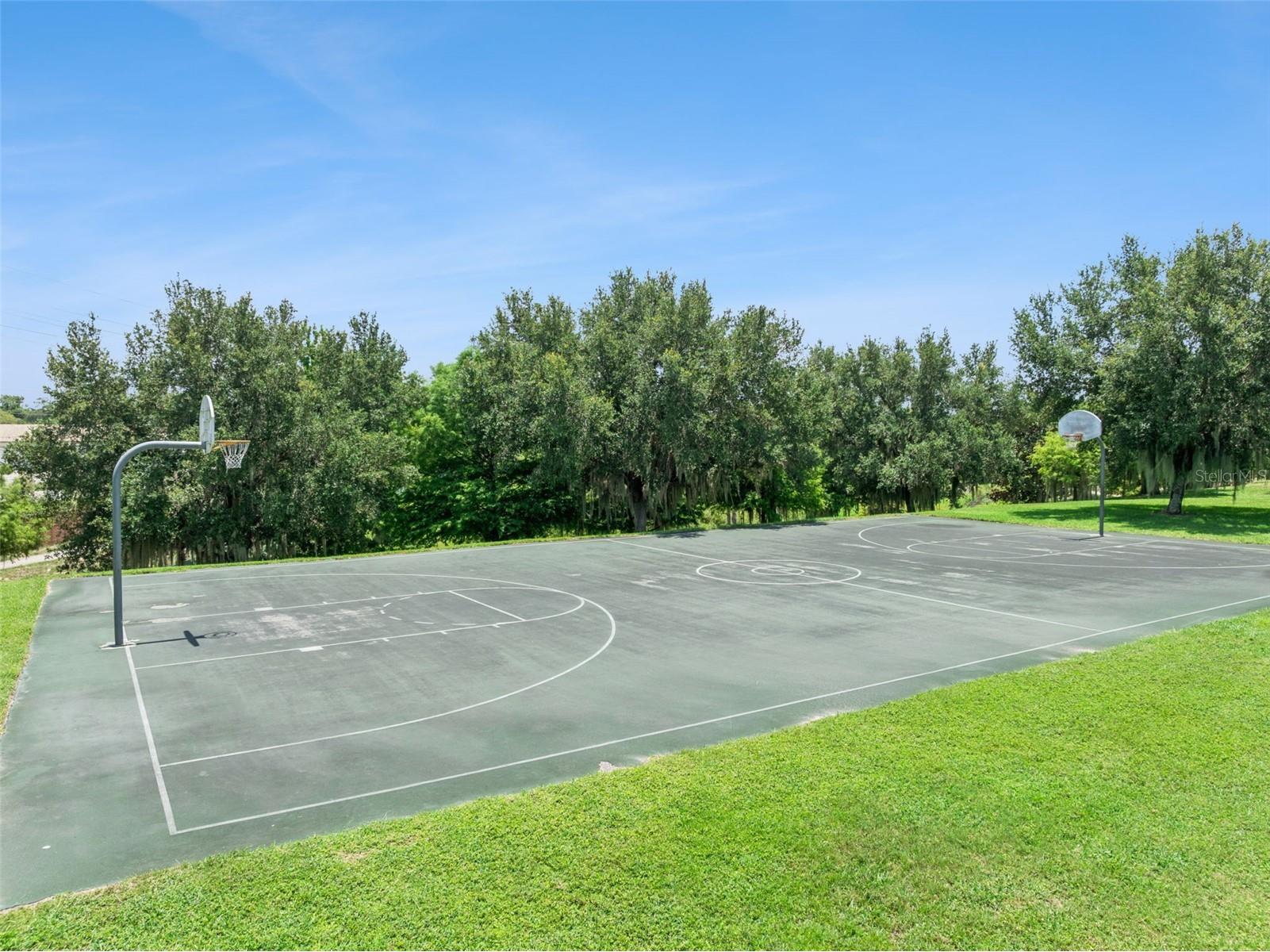 2514 Plumadore Drive Grand Island FL 32735 G5114060 image53
