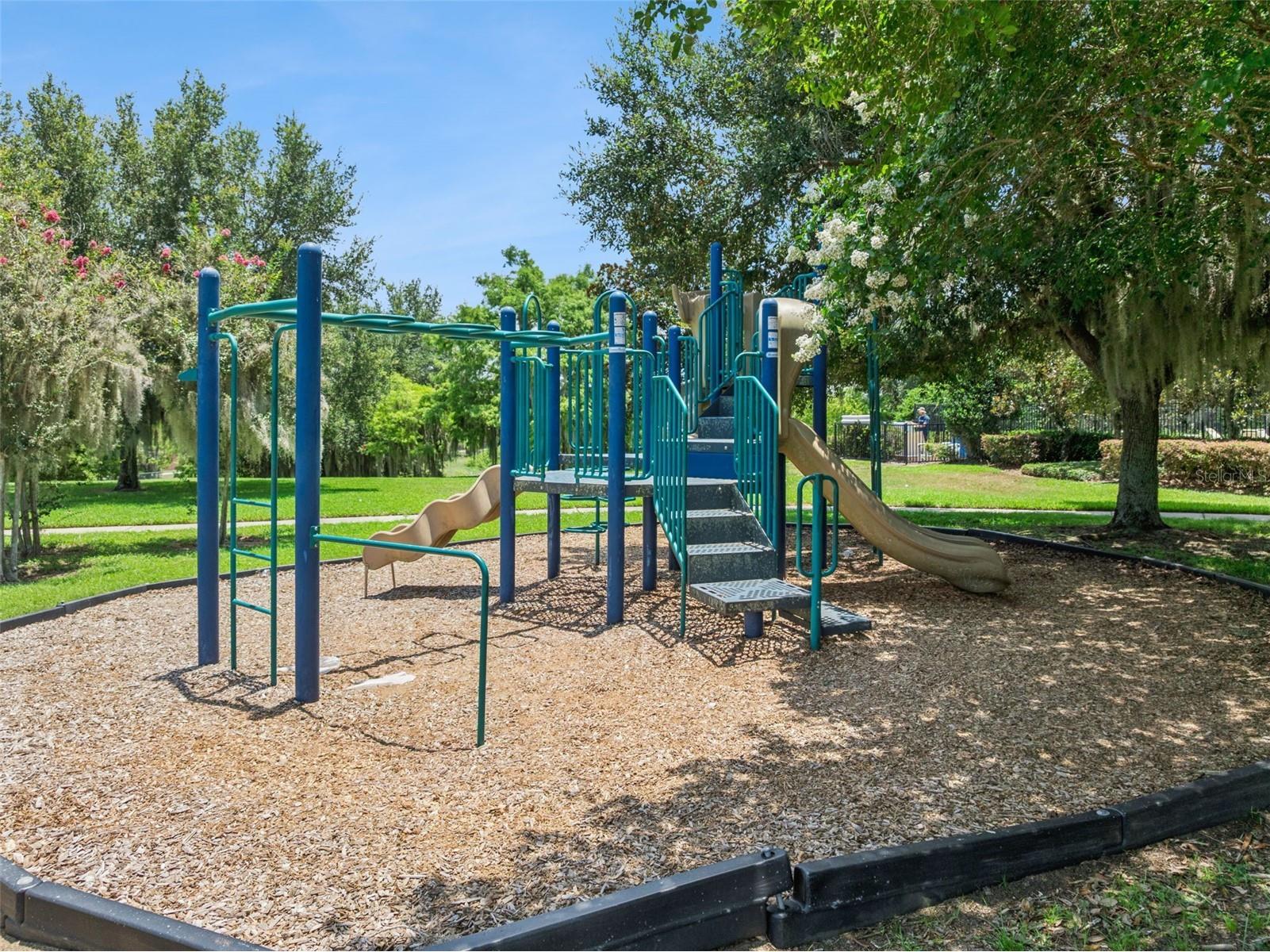 2514 Plumadore Drive Grand Island FL 32735 G5114060 image54