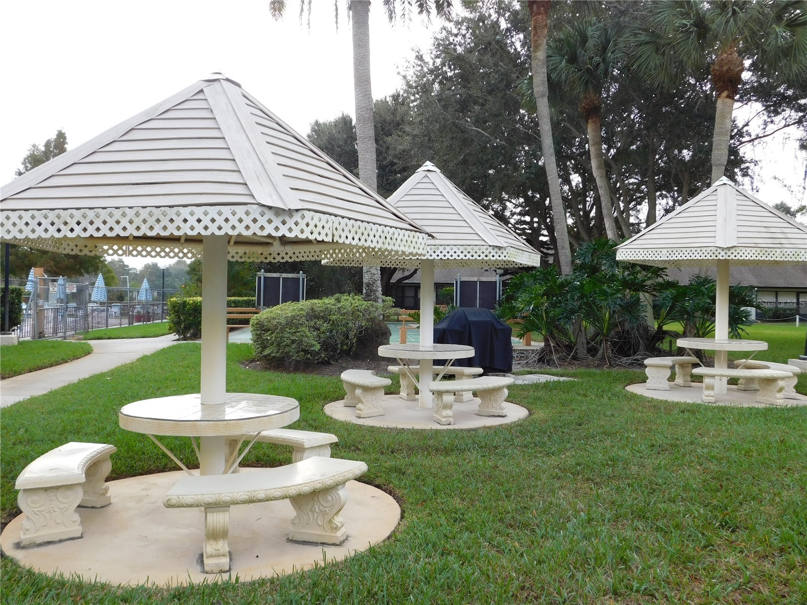 2514 Royal Pines Circle #25D Clearwater FL 33763 TB8503044 image24
