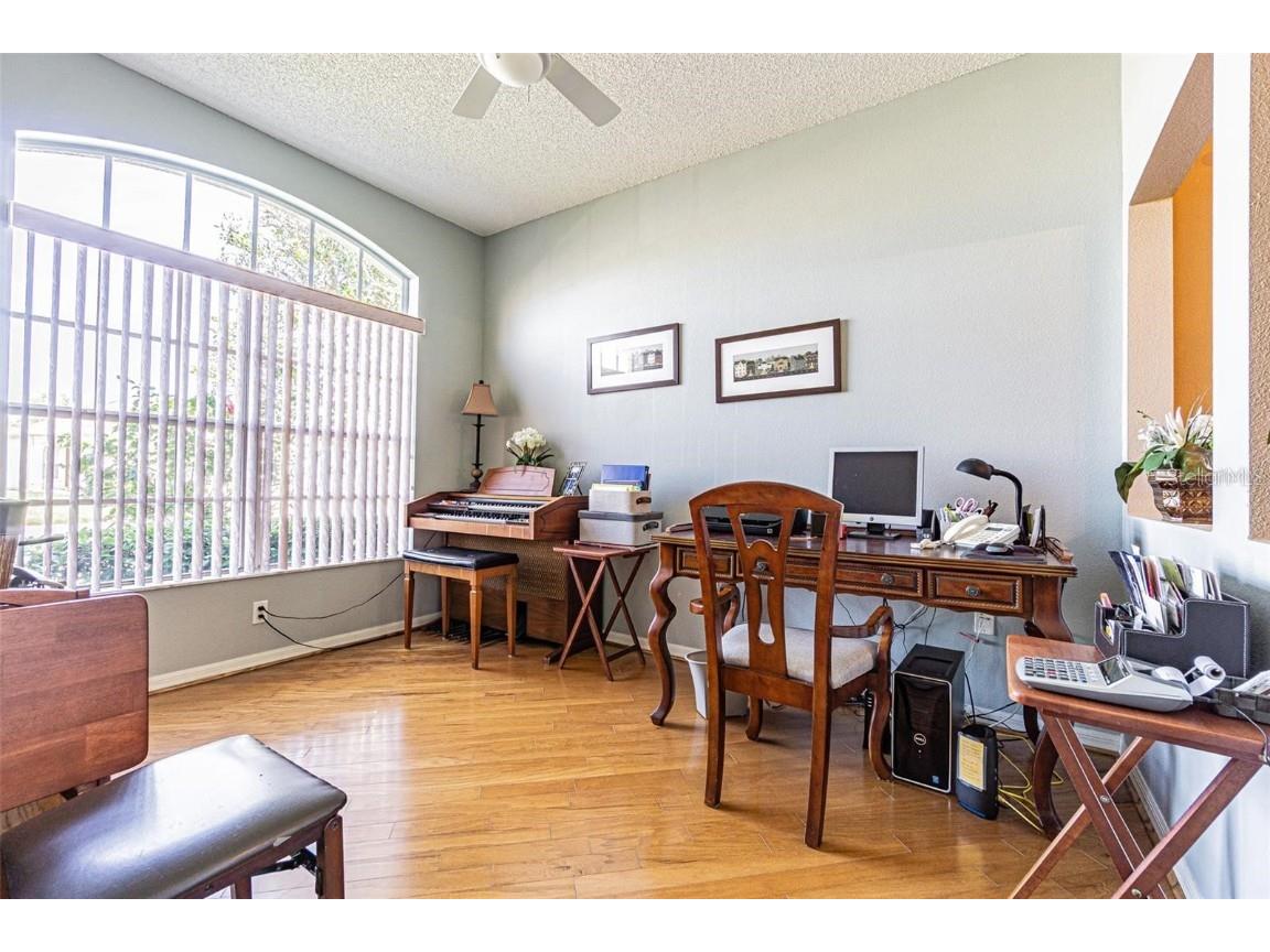 2514 Sandy Hill Court Holiday FL 34691 TB8439068 image2