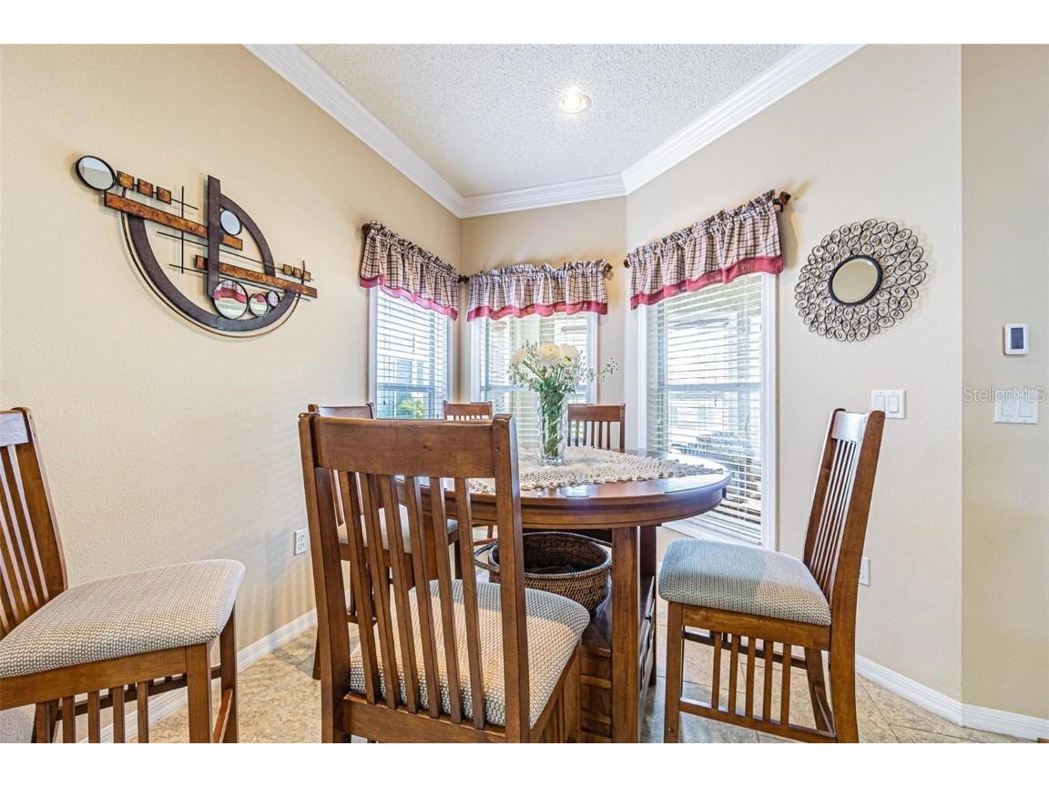 2514 Sandy Hill Court Holiday FL 34691 TB8439068 image3