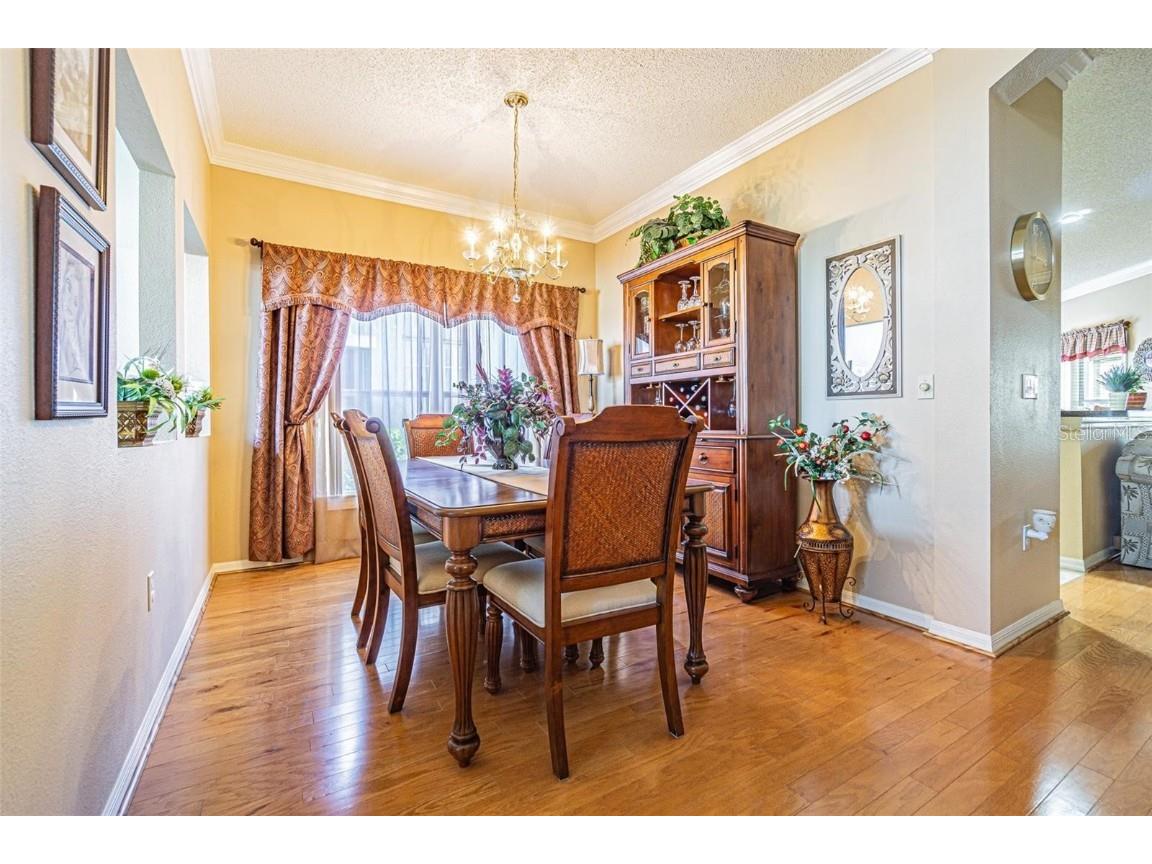 2514 Sandy Hill Court Holiday FL 34691 TB8439068 image4