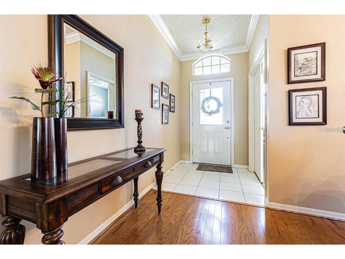 2514 Sandy Hill Court Holiday FL 34691 TB8439068 image5