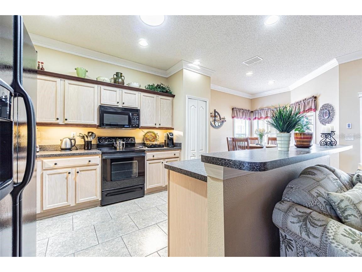 2514 Sandy Hill Court Holiday FL 34691 TB8439068 image7