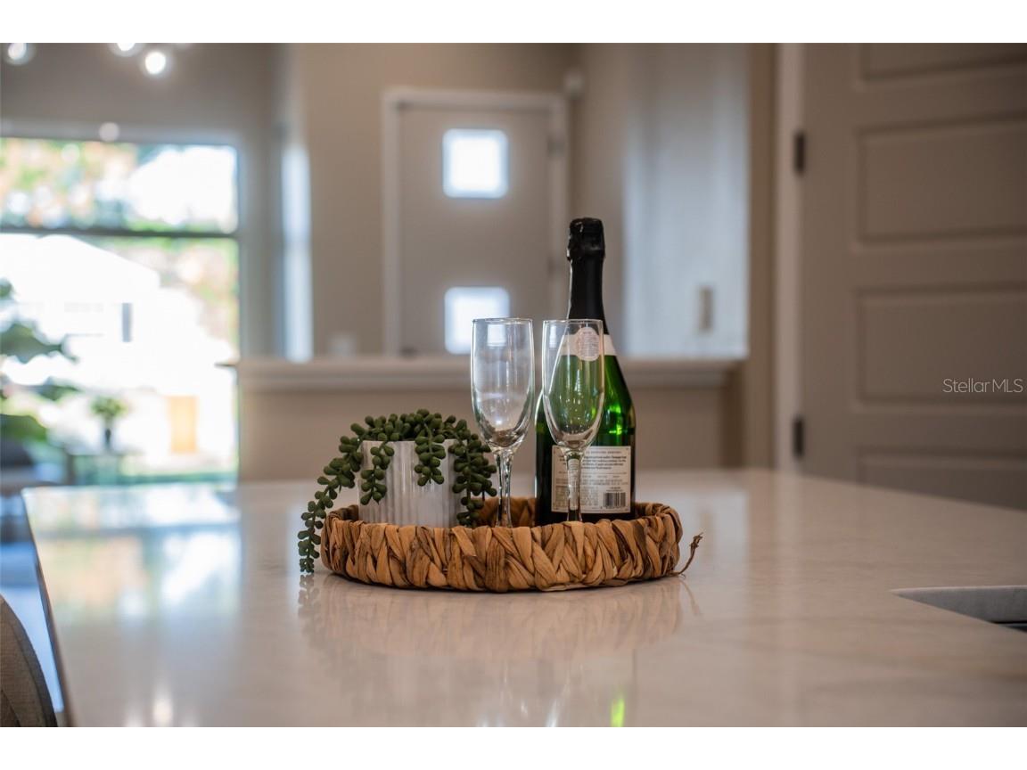 2514 Shannon Road Orlando FL 32806 O6358059 image15