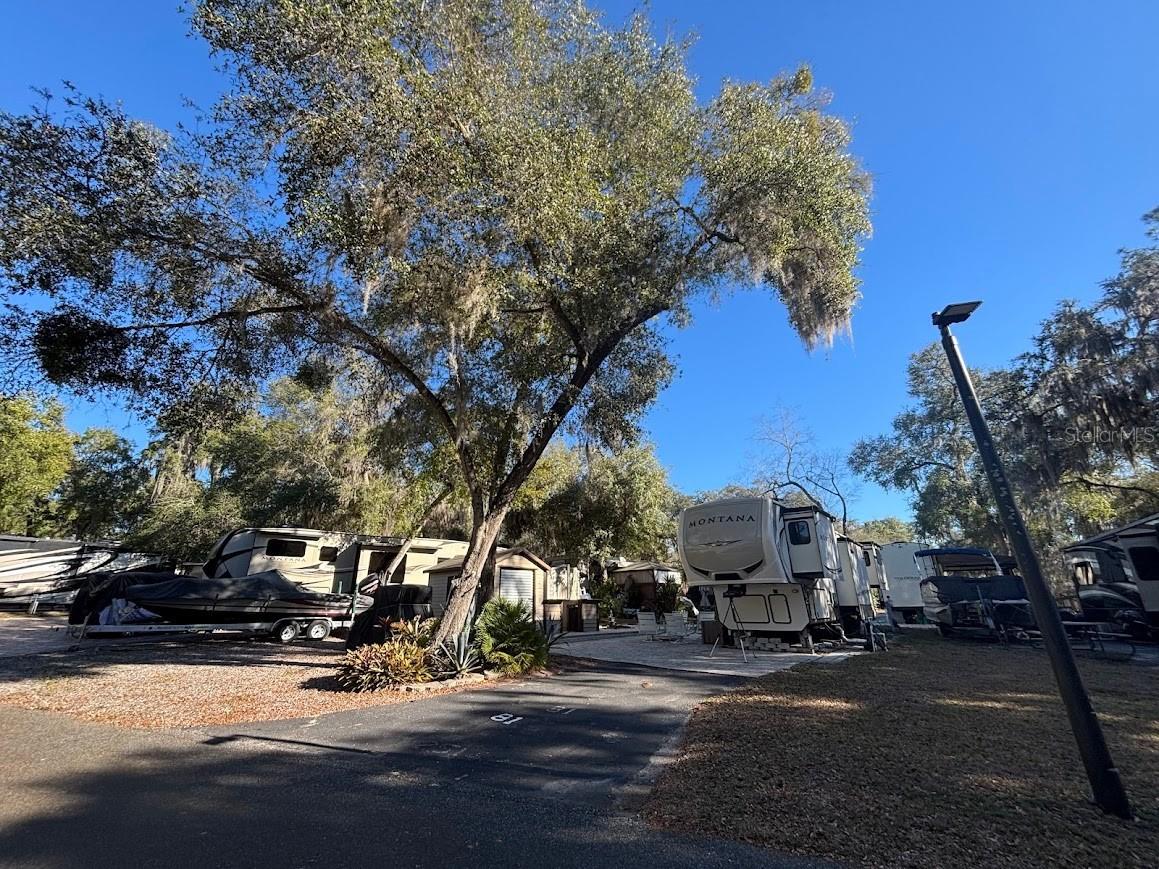 25142 Ne 143rd Place #81 Fort Mc Coy FL 32134 - LITTLE LAKE KERR OM720846 image6