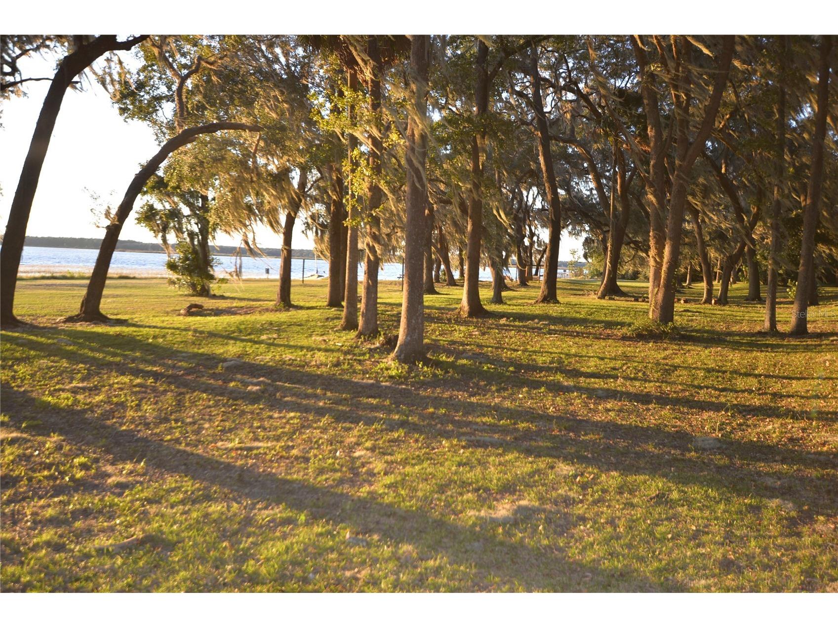 25144 NE 140th Loop Fort Mc Coy FL 32134 - LITTLE LAKE KERR OM716027 image22