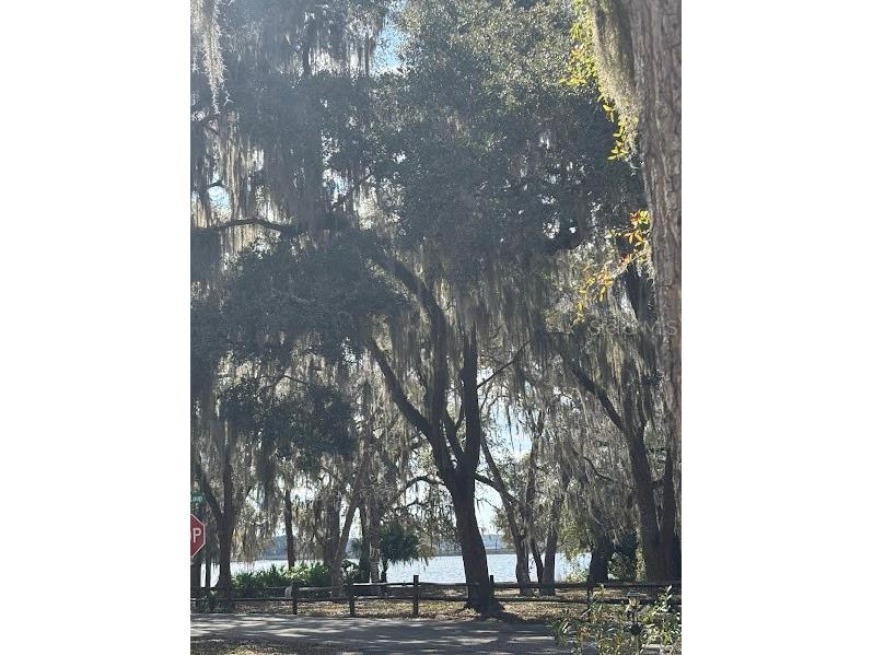 25146 NE 140th Loop #71 Salt Springs FL 32134 - LITTLE LAKE KERR OM720863 image1