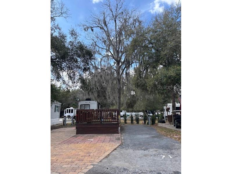 25146 NE 140th Loop #71 Salt Springs FL 32134 - LITTLE LAKE KERR OM720863 image3