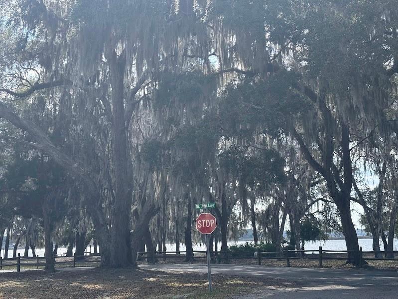 25146 NE 140th Loop #71 Salt Springs FL 32134 - LITTLE LAKE KERR OM720863 image6