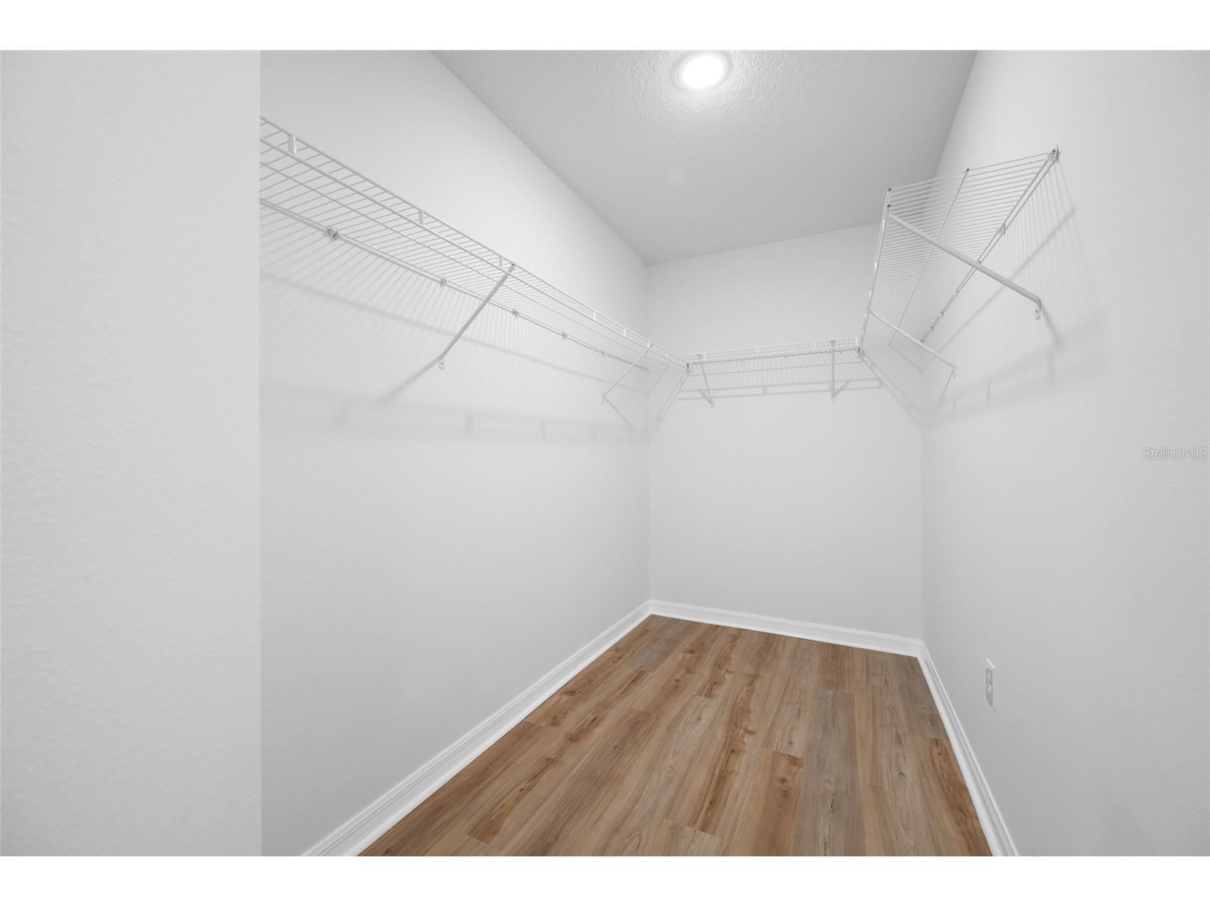 25147 Geddy Drive Land O Lakes FL 34639 TB8510560 image46