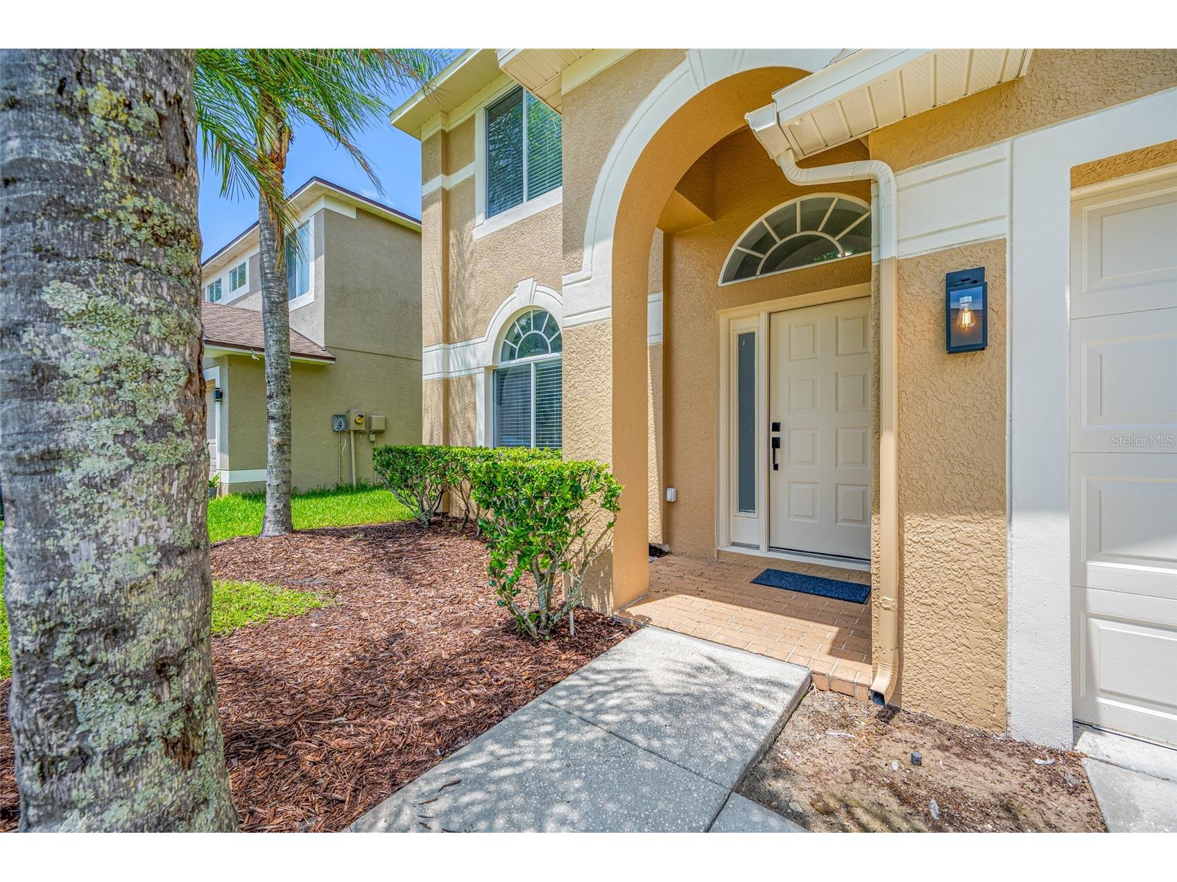 25147 Geddy Drive Land O Lakes FL 34639 TB8510560 image5