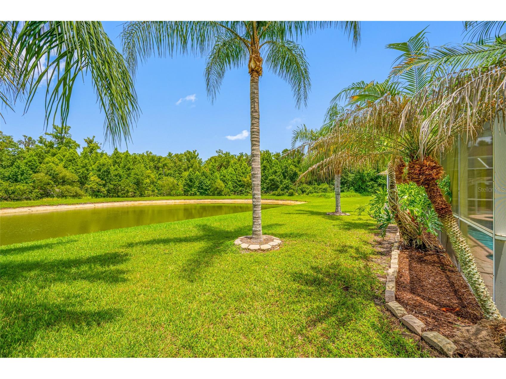 25147 Geddy Drive Land O Lakes FL 34639 TB8510560 image66