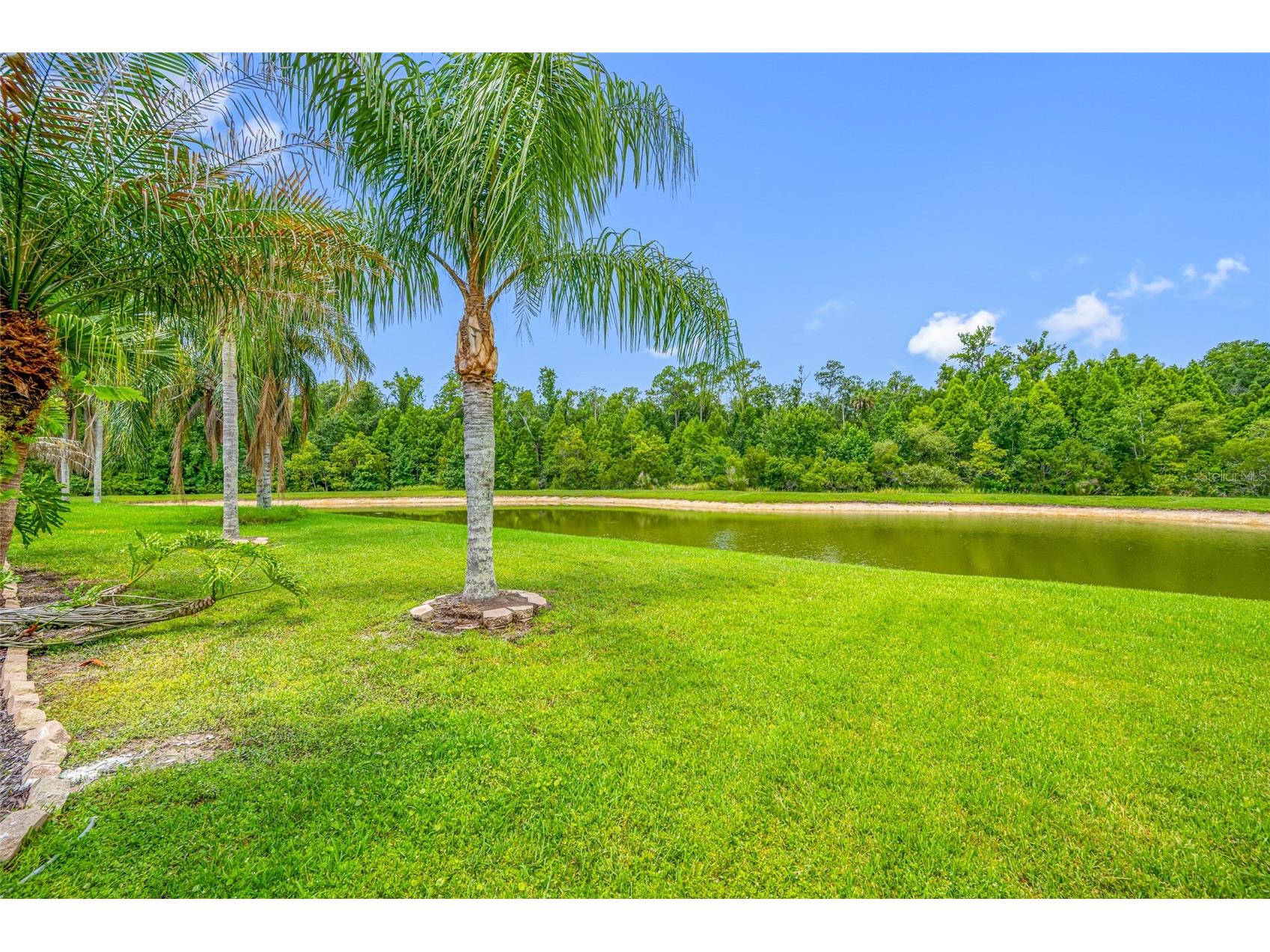 25147 Geddy Drive Land O Lakes FL 34639 TB8510560 image71