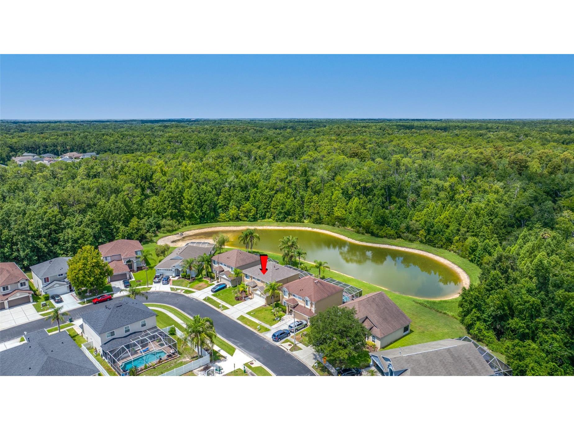 25147 Geddy Drive Land O Lakes FL 34639 TB8510560 image79