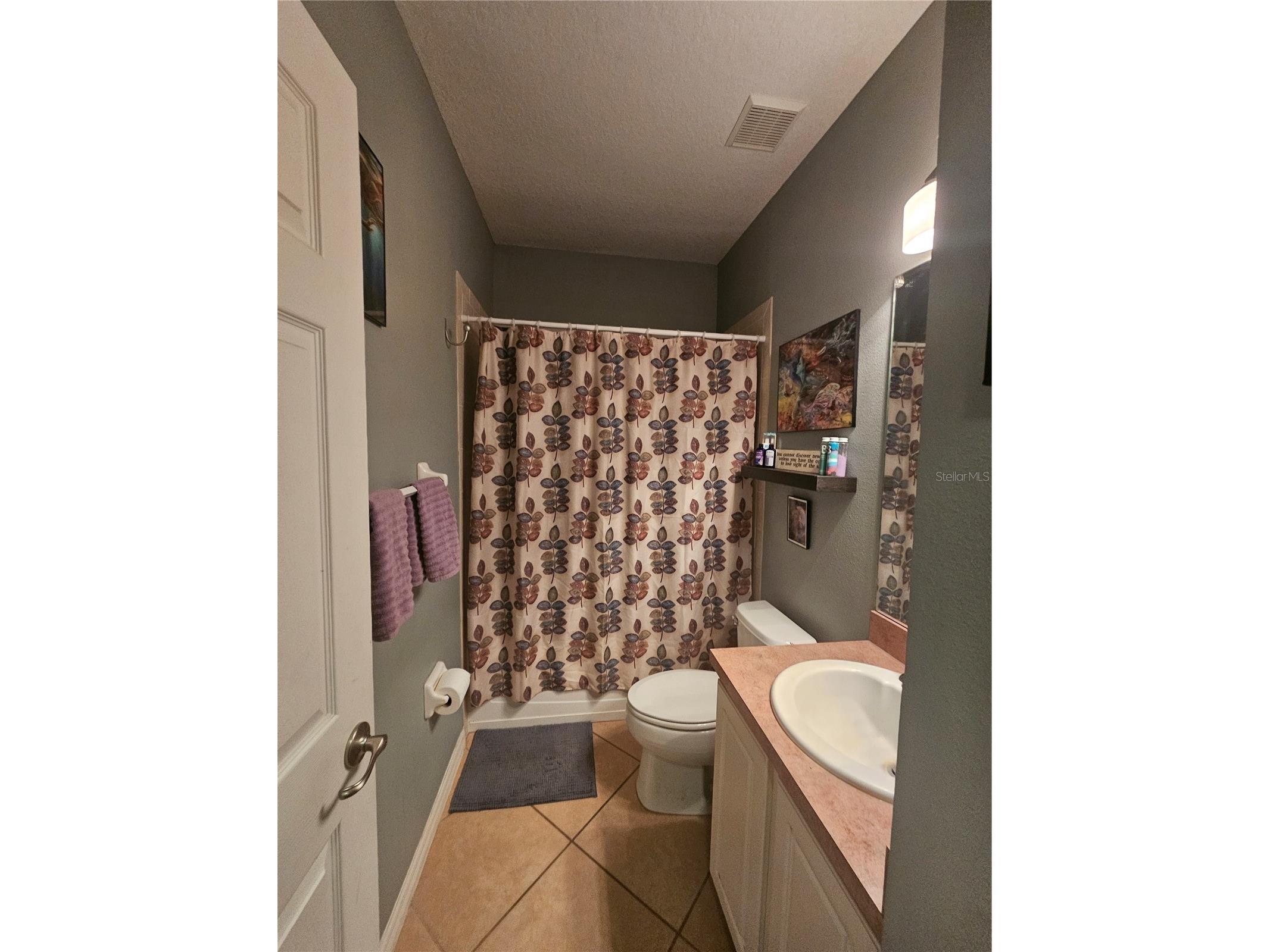 25147 Ironwedge Drive Sorrento FL 32776 A4695423 image10