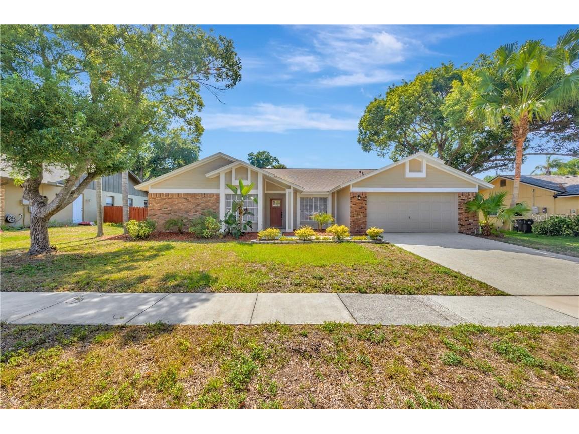 2515 Arborwood Drive Valrico FL 33596 T3526916 image1