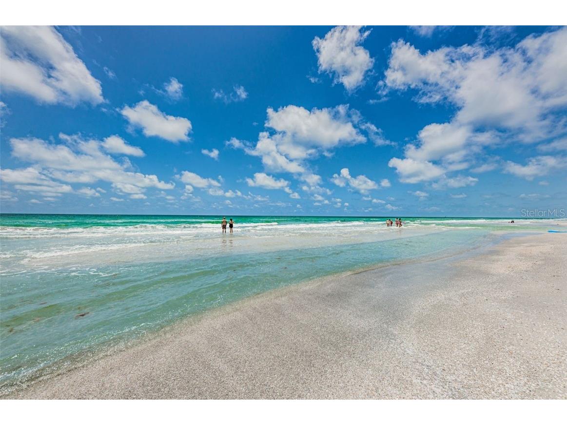 2515 Bay Boulevard #A Indian Rocks Beach FL 33785 TB8366497 image44