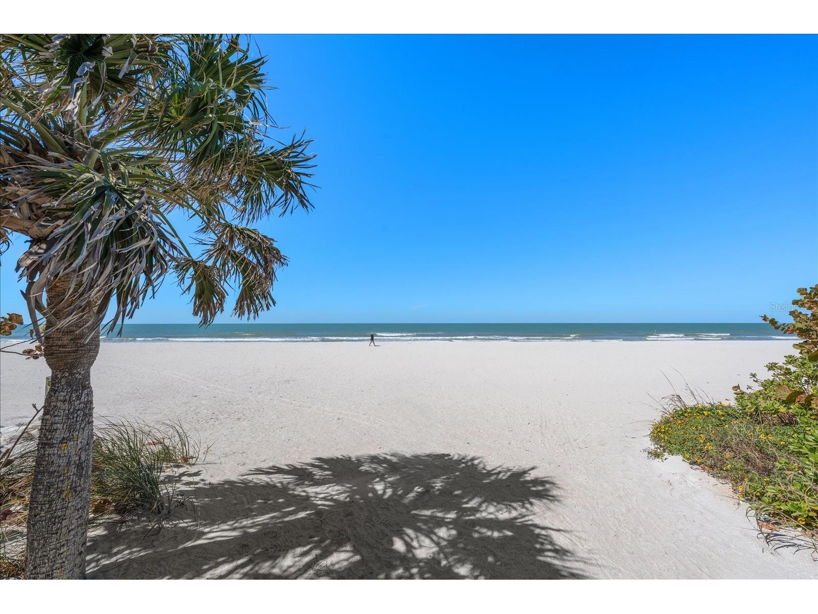 2515 Bay Boulevard #B Indian Rocks Beach FL 33785 - INTRACOASTAL TB8493268 image47