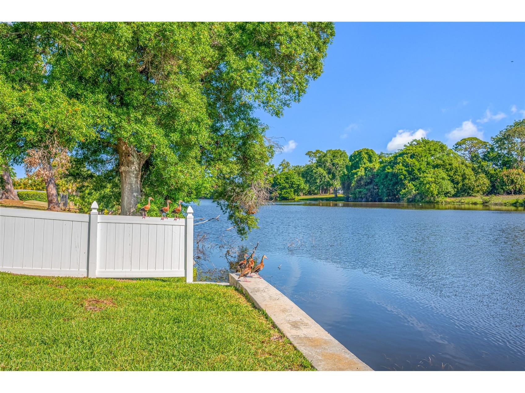 2515 Desoto Way S Saint Petersburg FL 33712 TB8493447 image67