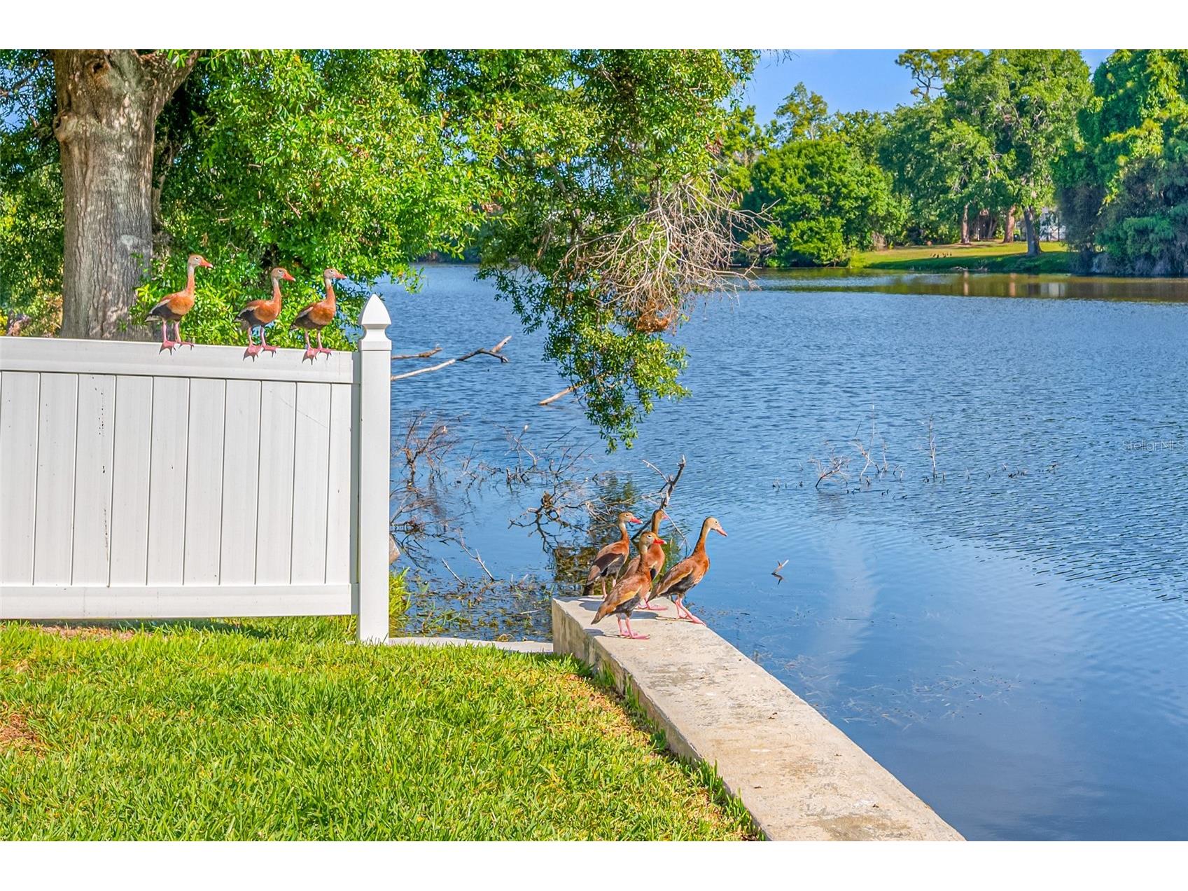 2515 Desoto Way S Saint Petersburg FL 33712 TB8493447 image68