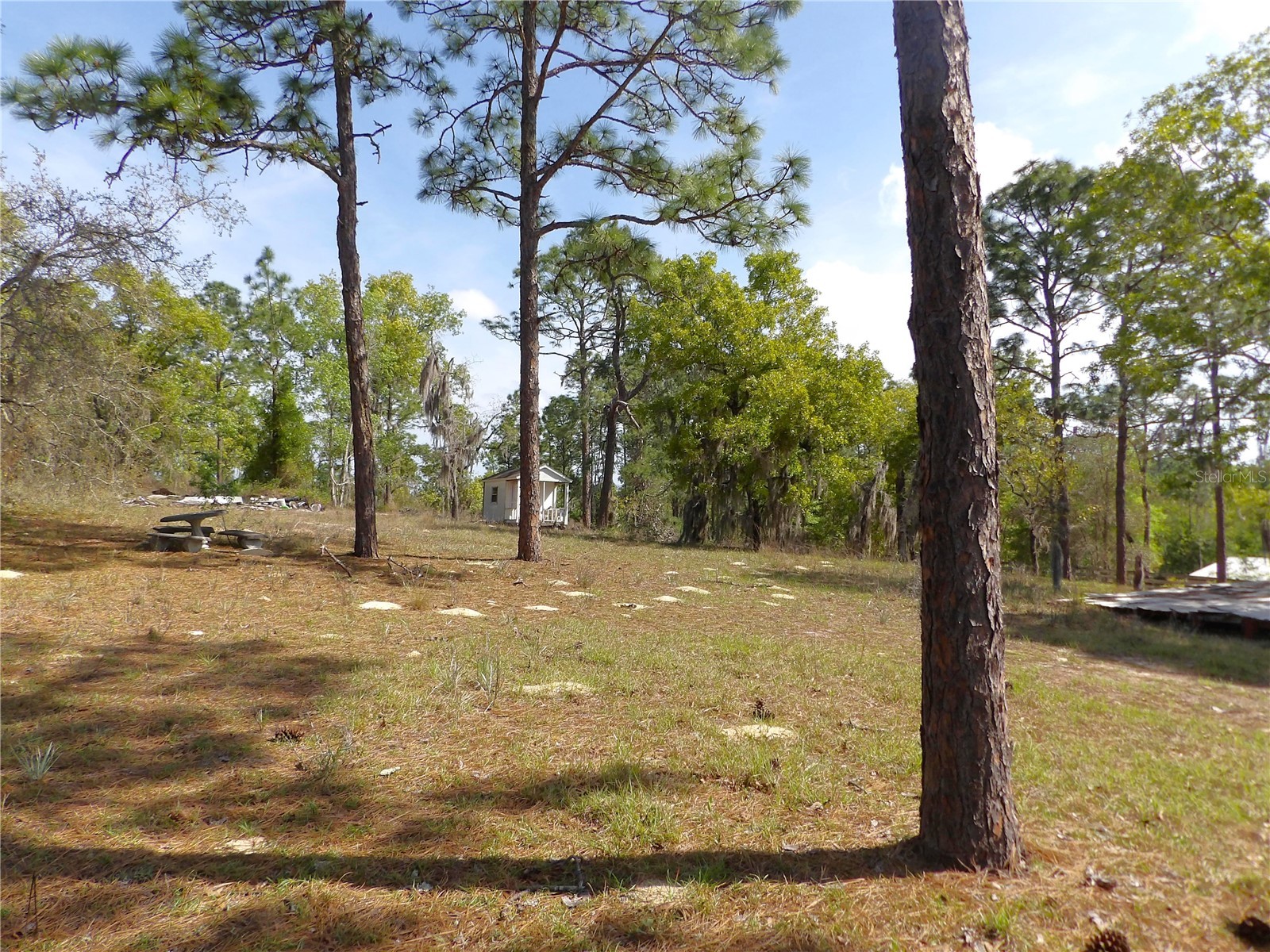 2515 E Hampshire Street Inverness FL 34453 G5110437 image46