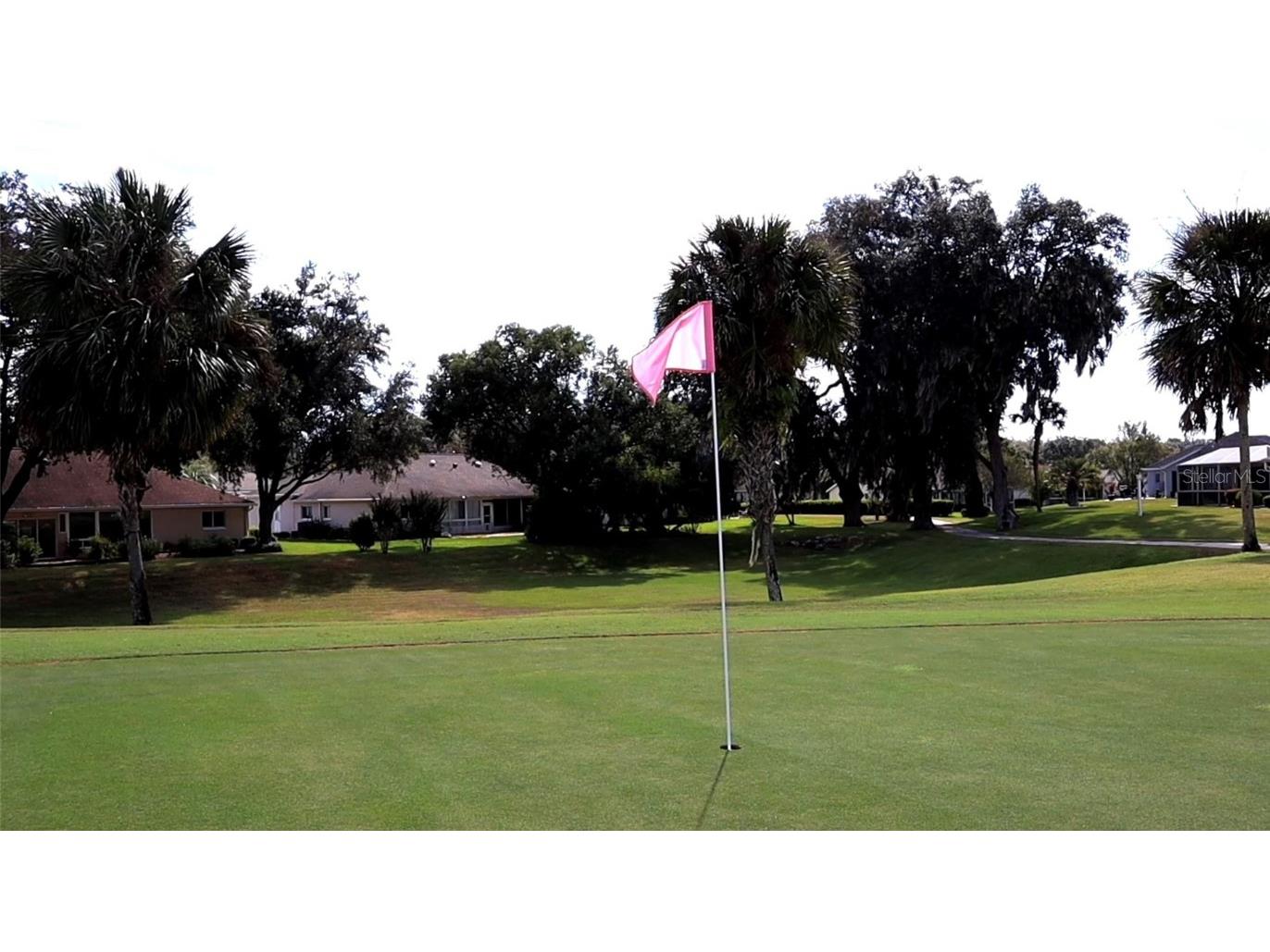 2515 NW 53 Avenue Ocala FL 34482 OM703217 image86