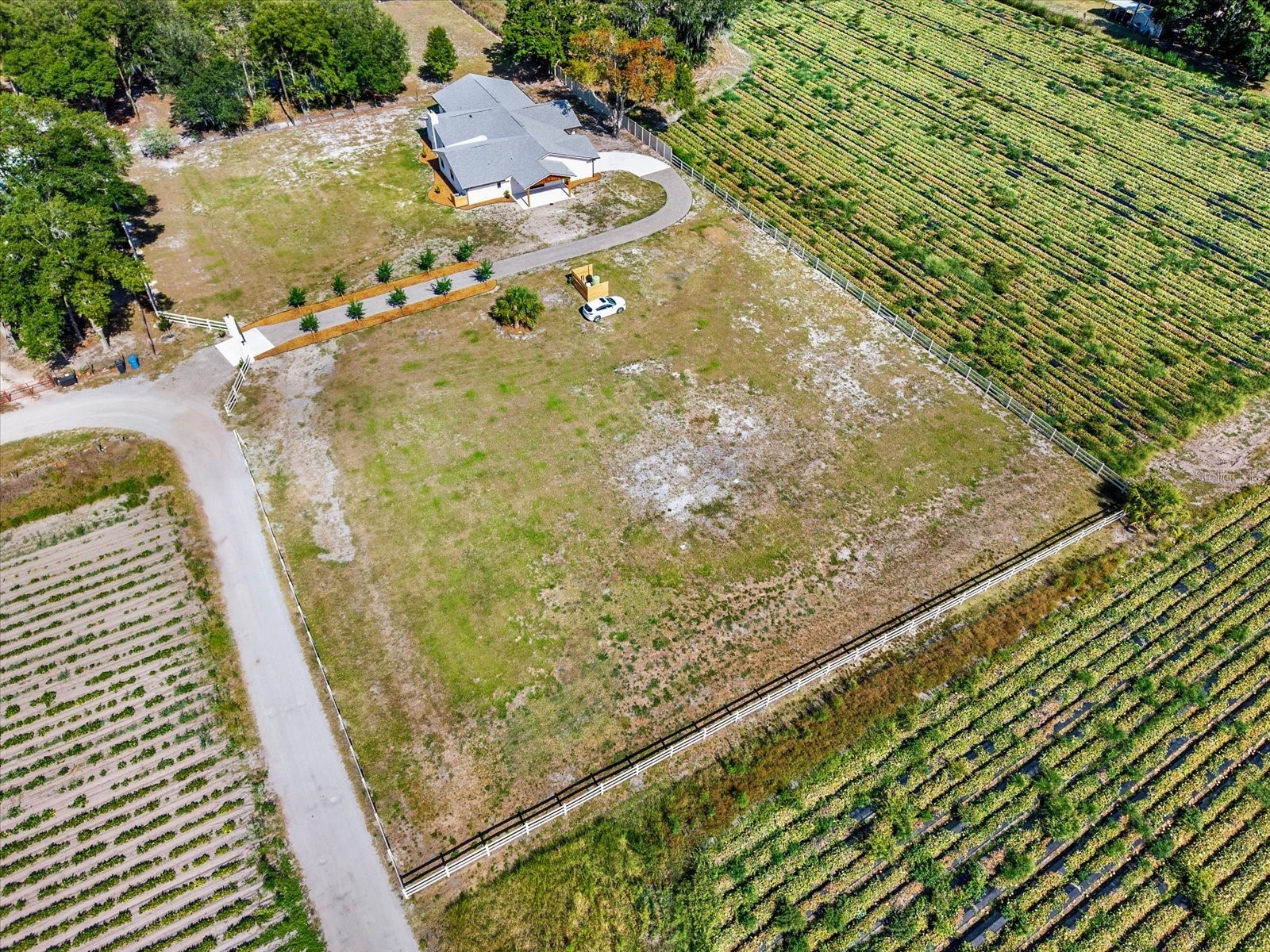 2515 Ragins Lane Plant City FL 33567 TB8511561 image54