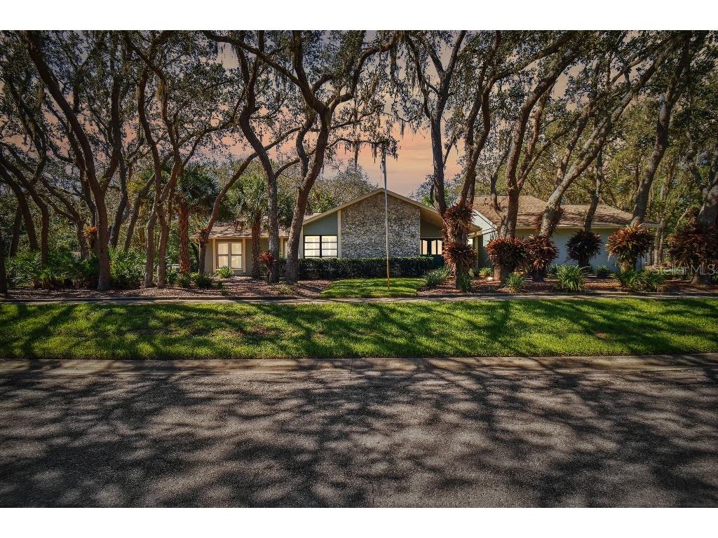 2515 Regal Oaks Lane Lutz FL 33559 T3461414 image1